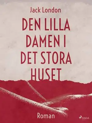 Omslag för Den lilla damen i det stora huset