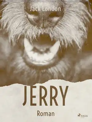 Omslag för Jerry