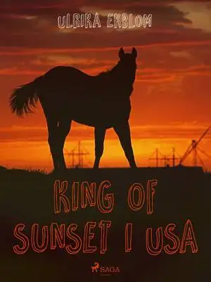 Omslag för King of Sunset I USA