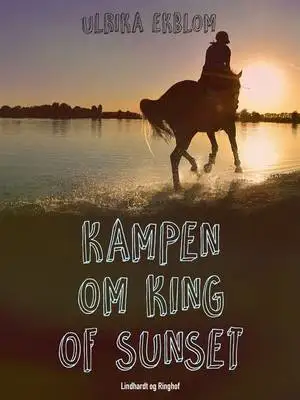 Omslag för Kampen om King of Sunset
