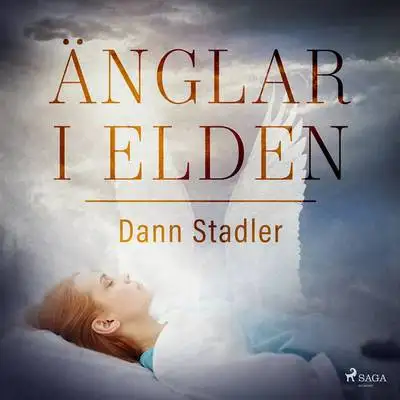 Omslag för Änglar i elden