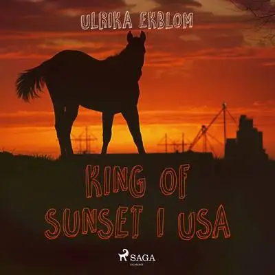 Omslag för King of Sunset i USA