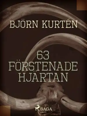 Omslag för 63 förstenade hjärtan