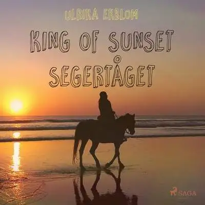 Omslag för King of Sunset - segertåget
