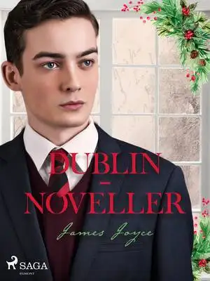 Omslag för Dublin-noveller