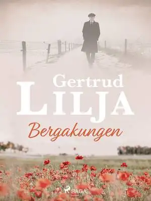 Omslag för Bergakungen