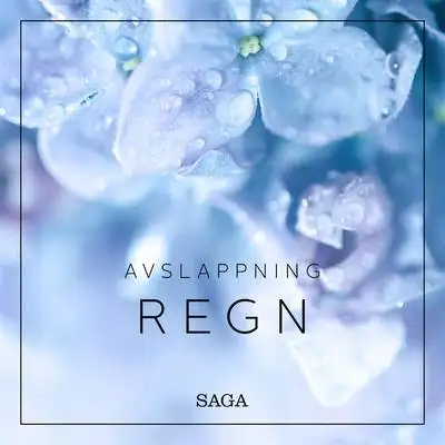 Omslag för Regn