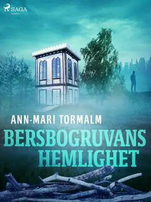 Omslag för Bersbogruvans hemlighet