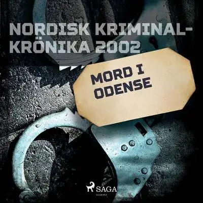 Omslag för Mord i Odense