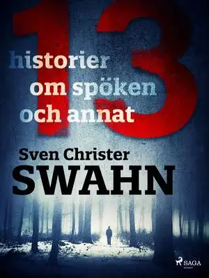 Omslag för 13 historier om spöken och annat