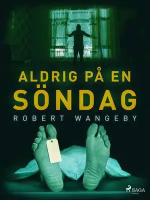 Omslag för Aldrig på en söndag