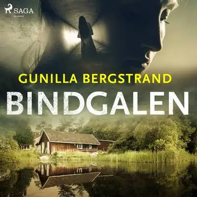 Omslag för Bindgalen