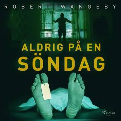 Omslag för Aldrig på en söndag