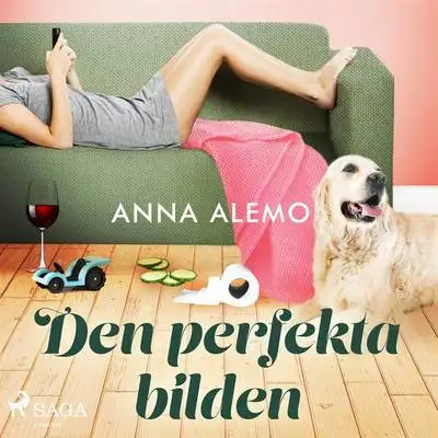 Omslag för Den perfekta bilden
