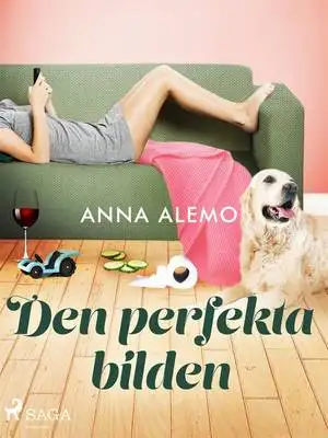 Omslag för Den perfekta bilden