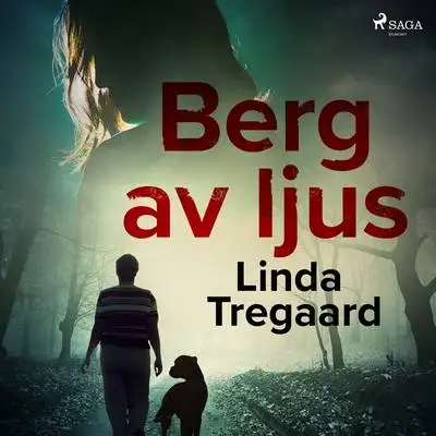 Omslag för Berg av ljus