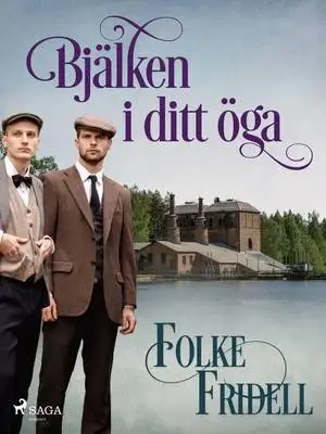 Omslag för Bjälken i ditt öga