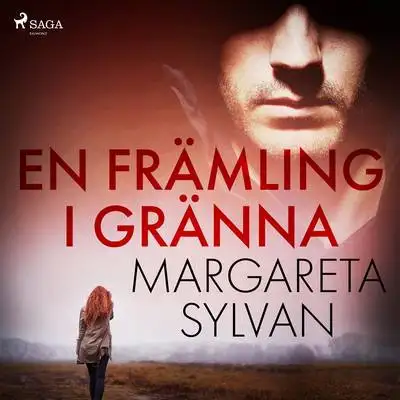 Omslag för En främling i Gränna