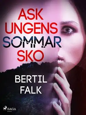 Omslag för Askungens sommarsko
