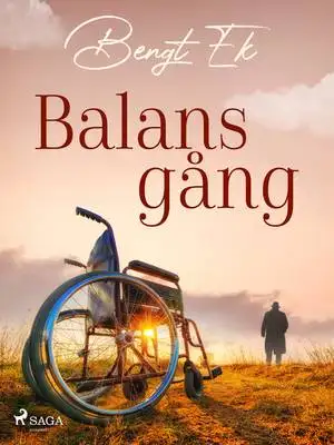 Omslag för Balansgång 