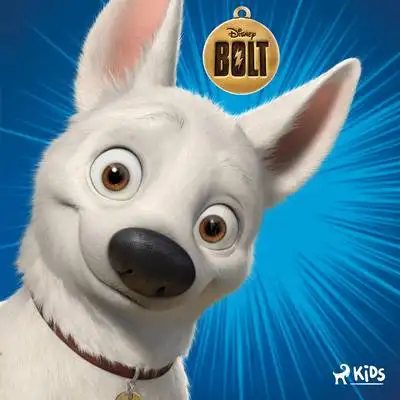 Bolt 