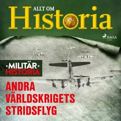 Omslag för Andra världskrigets stridsflyg
