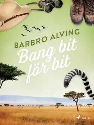 Omslag för Bang bit för bit 