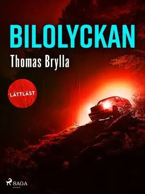Omslag för Bilolyckan 
