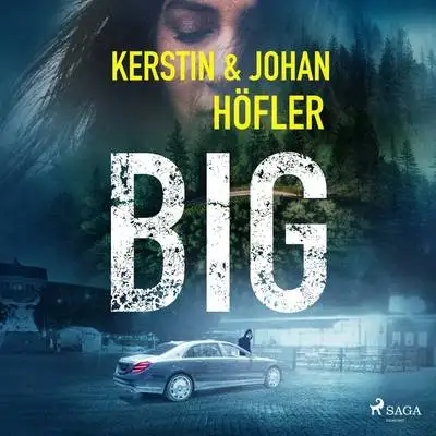 Omslag för Big