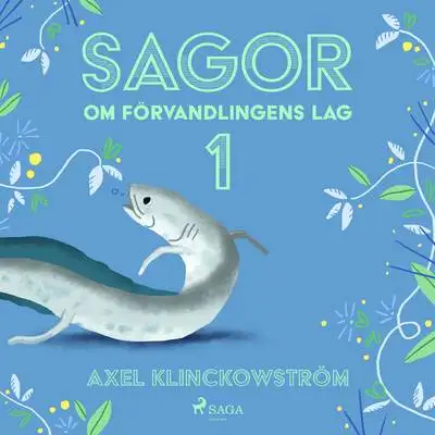Omslag för Sagor om förvandlingens lag