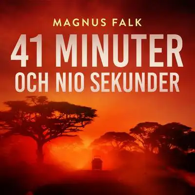 Omslag för 41 minuter och nio sekunder 