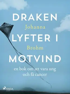 Omslag för Draken lyfter i motvind 