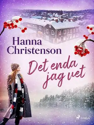 Omslag för Det enda jag vet 