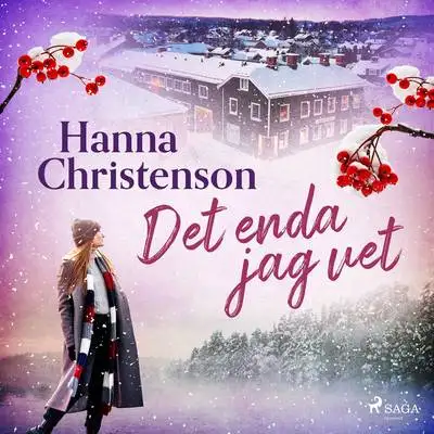 Omslag för Det enda jag vet 