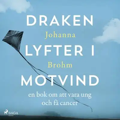 Omslag för Draken lyfter i motvind 