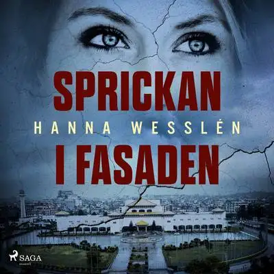 Omslag för Sprickan i fasaden 