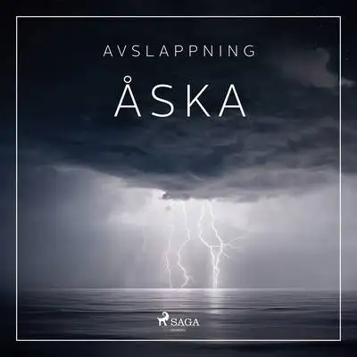 Omslag för Åska 