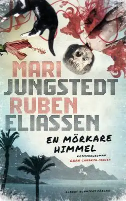 En mörkare himmel 