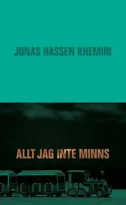 Omslag för Allt jag inte minns