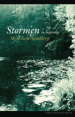 Omslag för Stormen