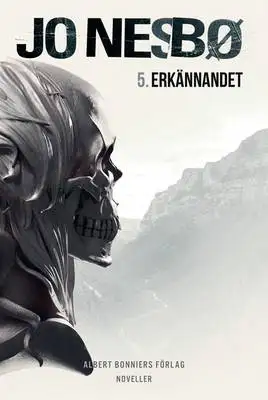 Omslag för Erkännandet
