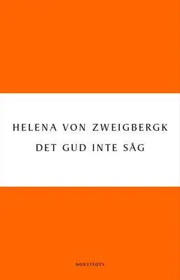 Det Gud inte såg 