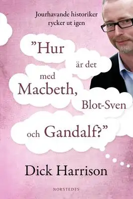 Omslag för Jourhavande historiker rycker ut igen
