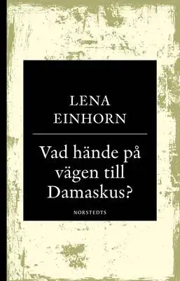 Omslag för Vad hände på vägen till Damaskus? 