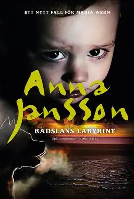 Omslag för Rädslans labyrint 