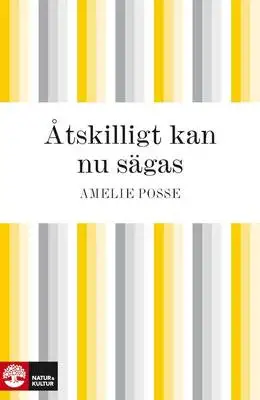 Omslag för Åtskilligt kan nu sägas
