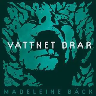 Vattnet drar 