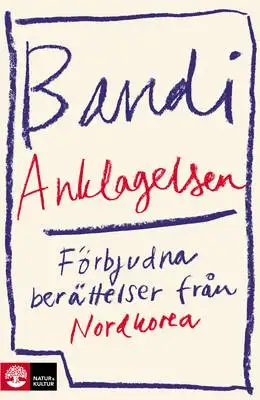 Omslag för Anklagelsen