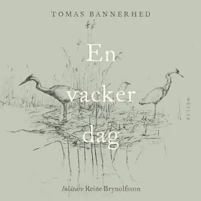 En vacker dag 