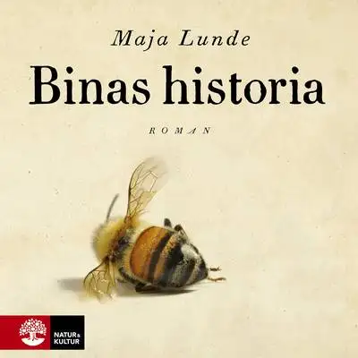 Omslag för Binas historia